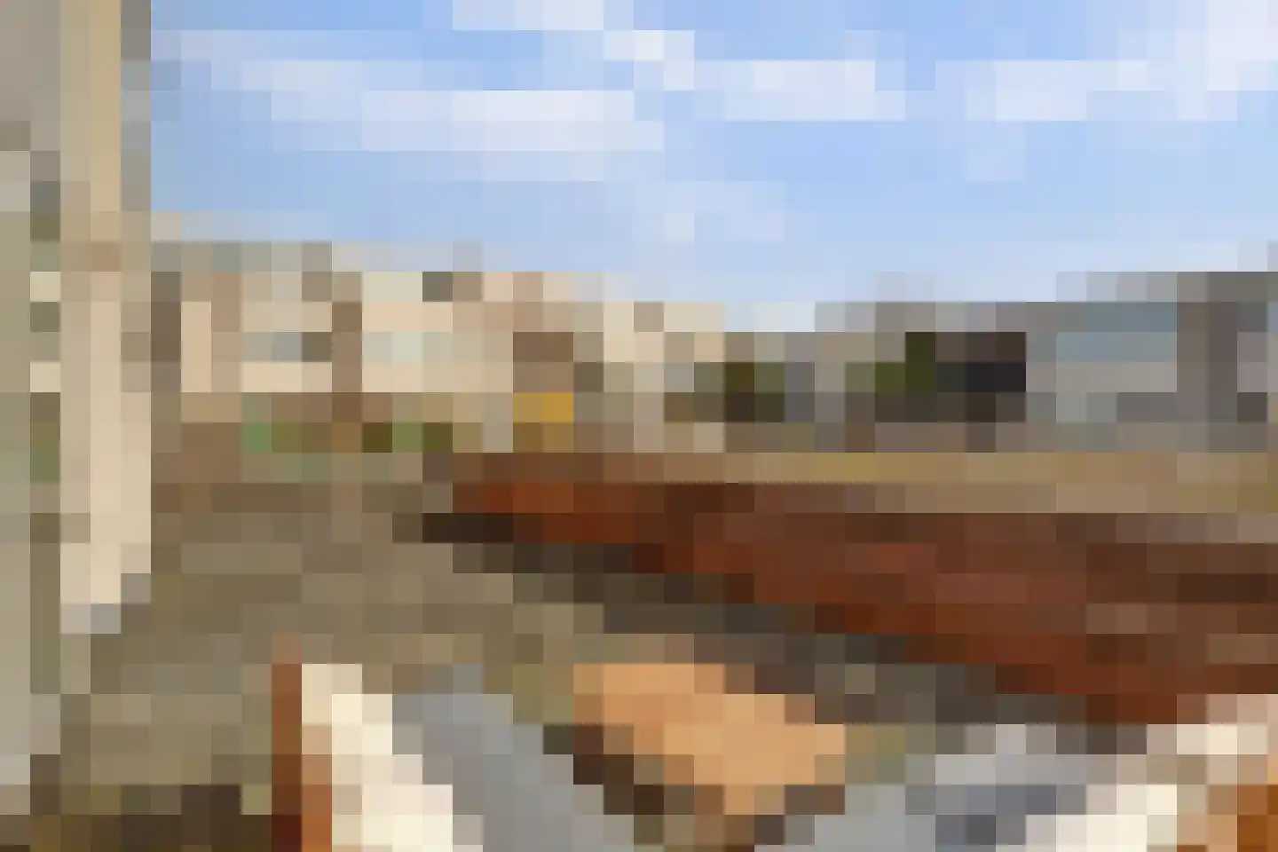 Maria Danneels erf 15 Capelle aan den IJssel thumbnail 22