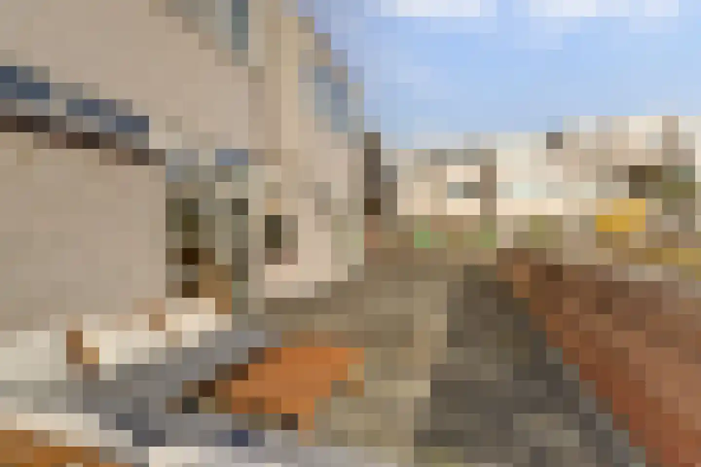 Maria Danneels erf 15 Capelle aan den IJssel thumbnail 23