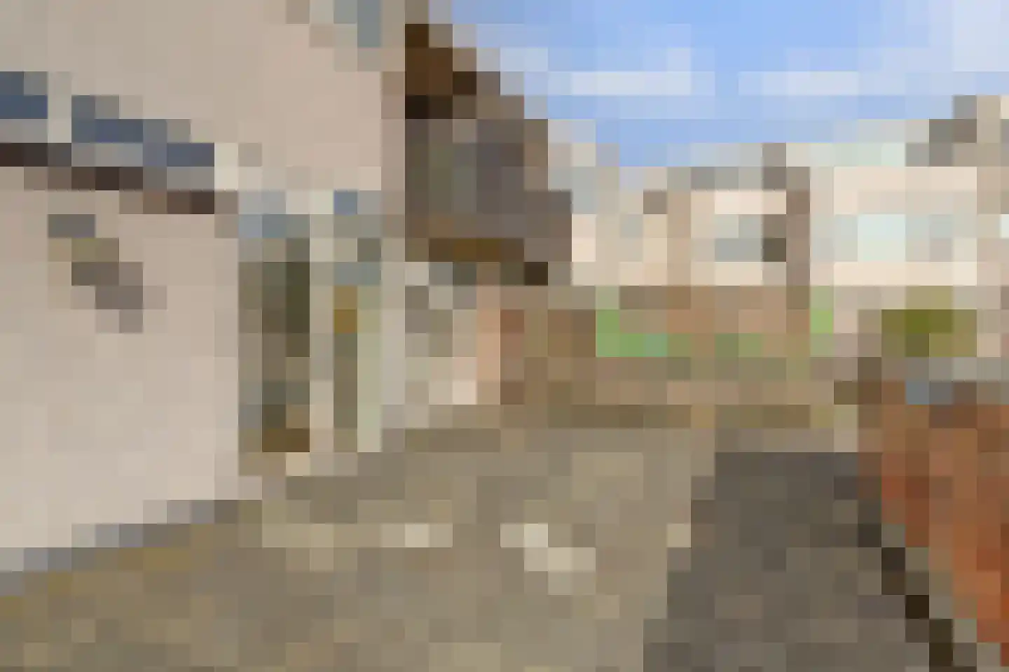 Maria Danneels erf 15 Capelle aan den IJssel thumbnail 24