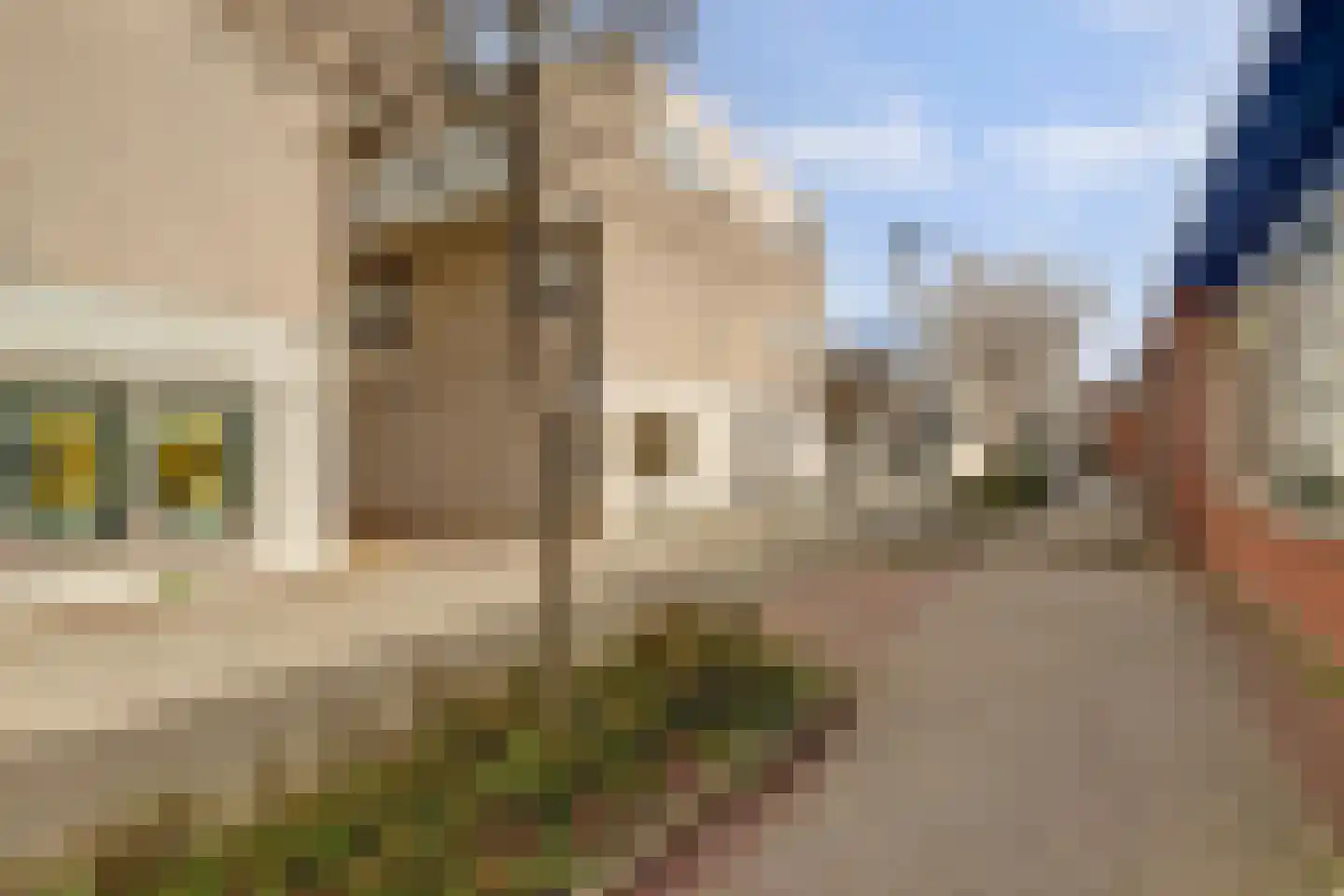 Maria Danneels erf 15 Capelle aan den IJssel thumbnail 33