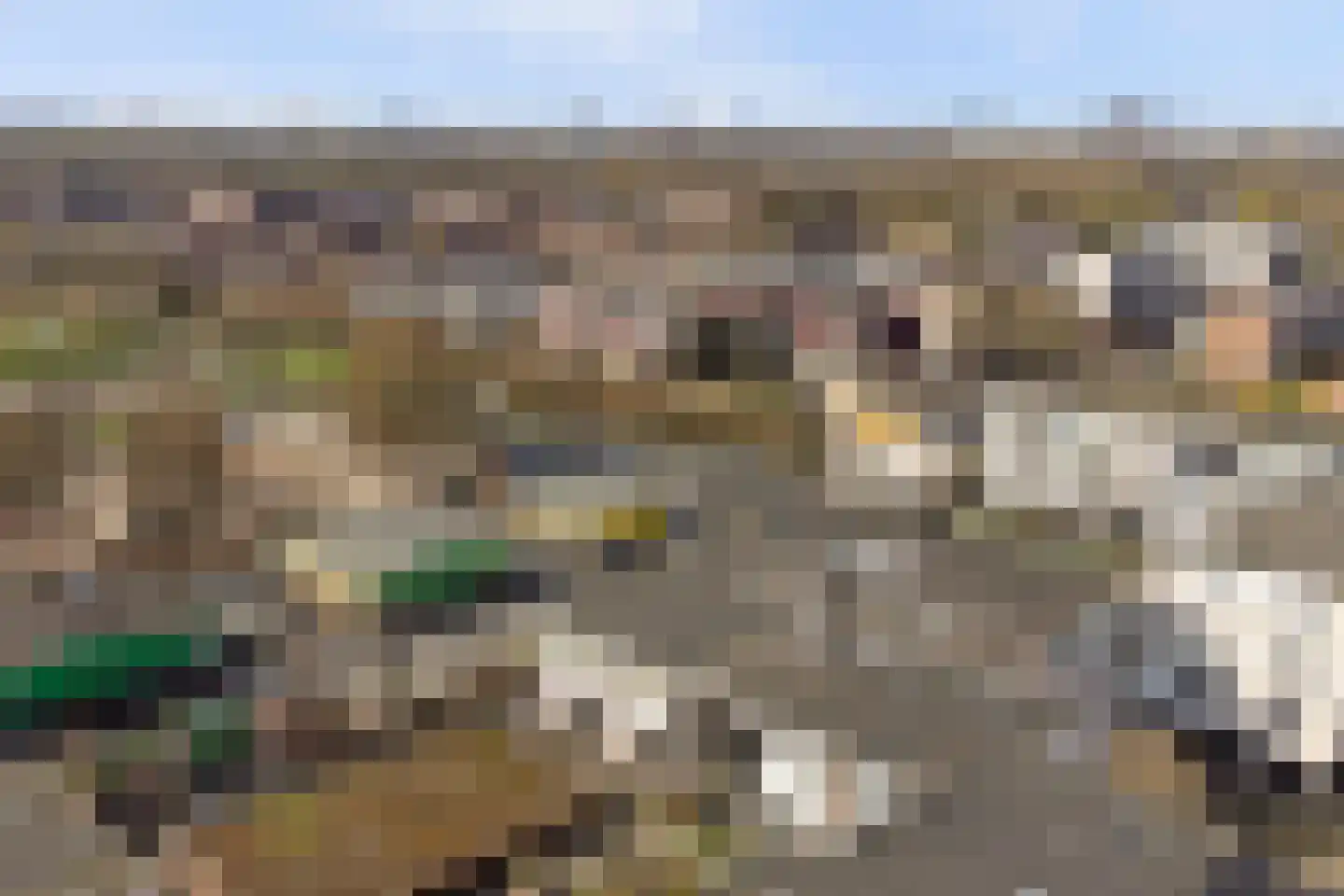 Maria Danneels erf 15 Capelle aan den IJssel thumbnail 39
