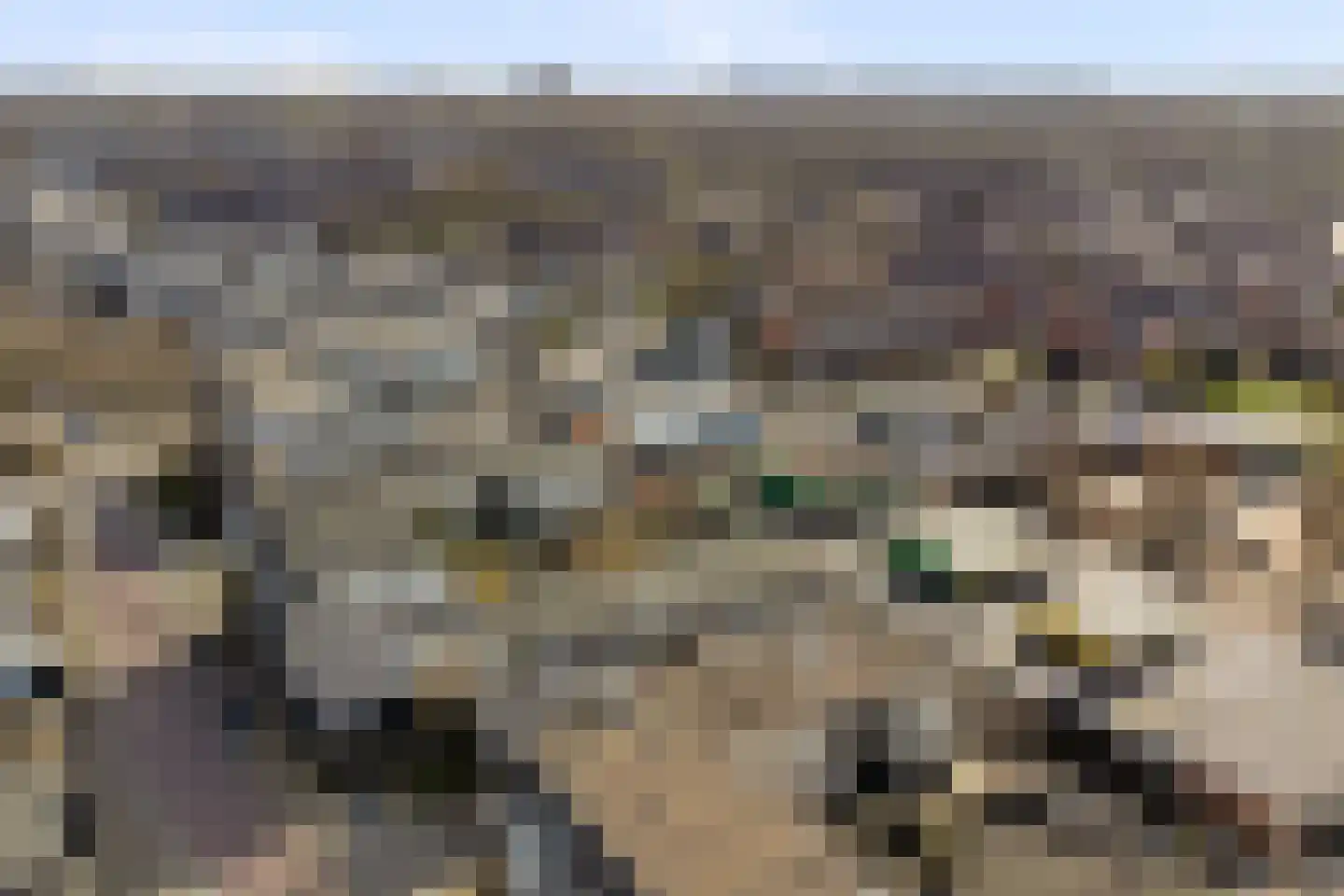 Maria Danneels erf 15 Capelle aan den IJssel thumbnail 41