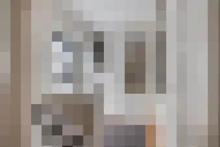 Maria Danneels erf 30 Capelle aan den IJssel thumbnail 7