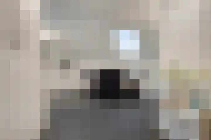 Maria Danneels erf 35 Capelle aan den IJssel thumbnail 16