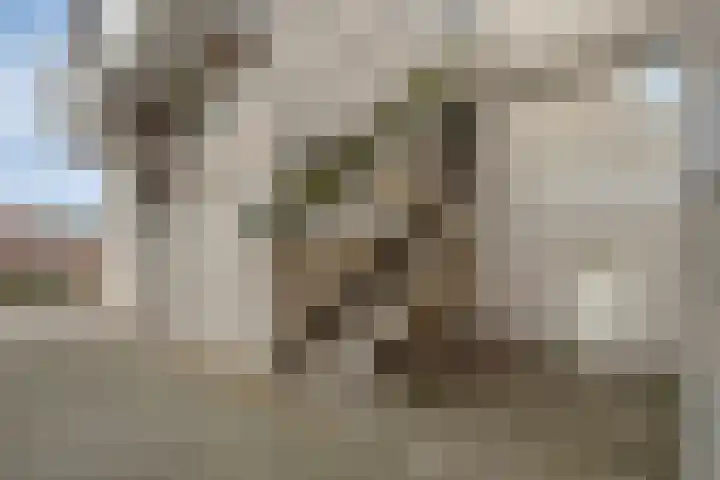 Maria Danneels erf 35 Capelle aan den IJssel thumbnail 5