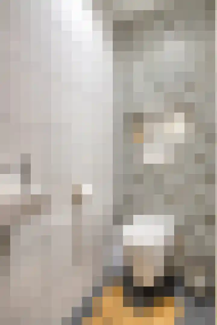 Maria Danneels erf 35 Capelle aan den IJssel thumbnail 8