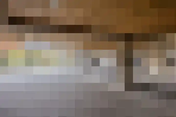 Maria Danneels erf 44 Capelle aan den IJssel thumbnail 36