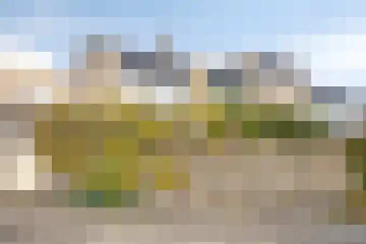 Maria Danneels erf 44 Capelle aan den IJssel thumbnail 6