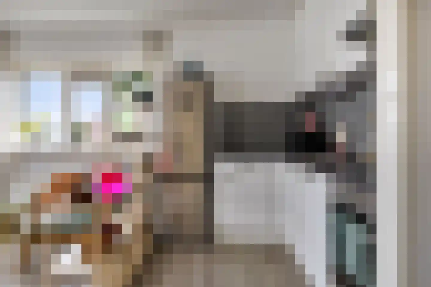 Maria Danneels erf 45 Capelle aan den IJssel thumbnail 17