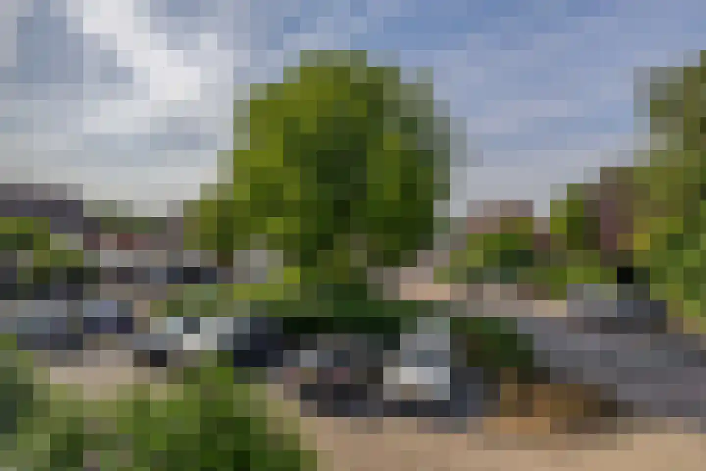 Maria Danneels erf 54 Capelle aan den IJssel thumbnail 45