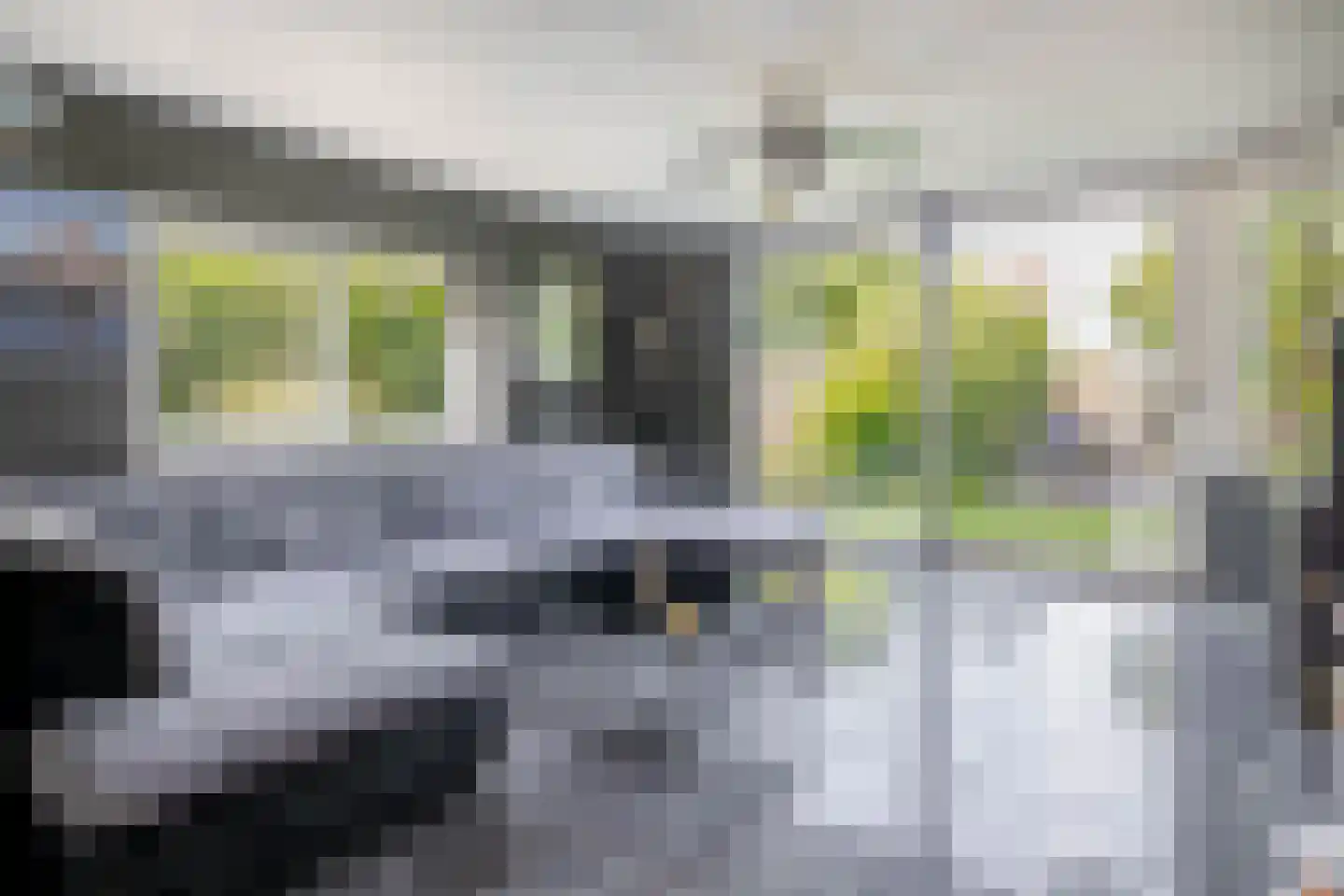 Maria Danneels erf 54 Capelle aan den IJssel thumbnail 7