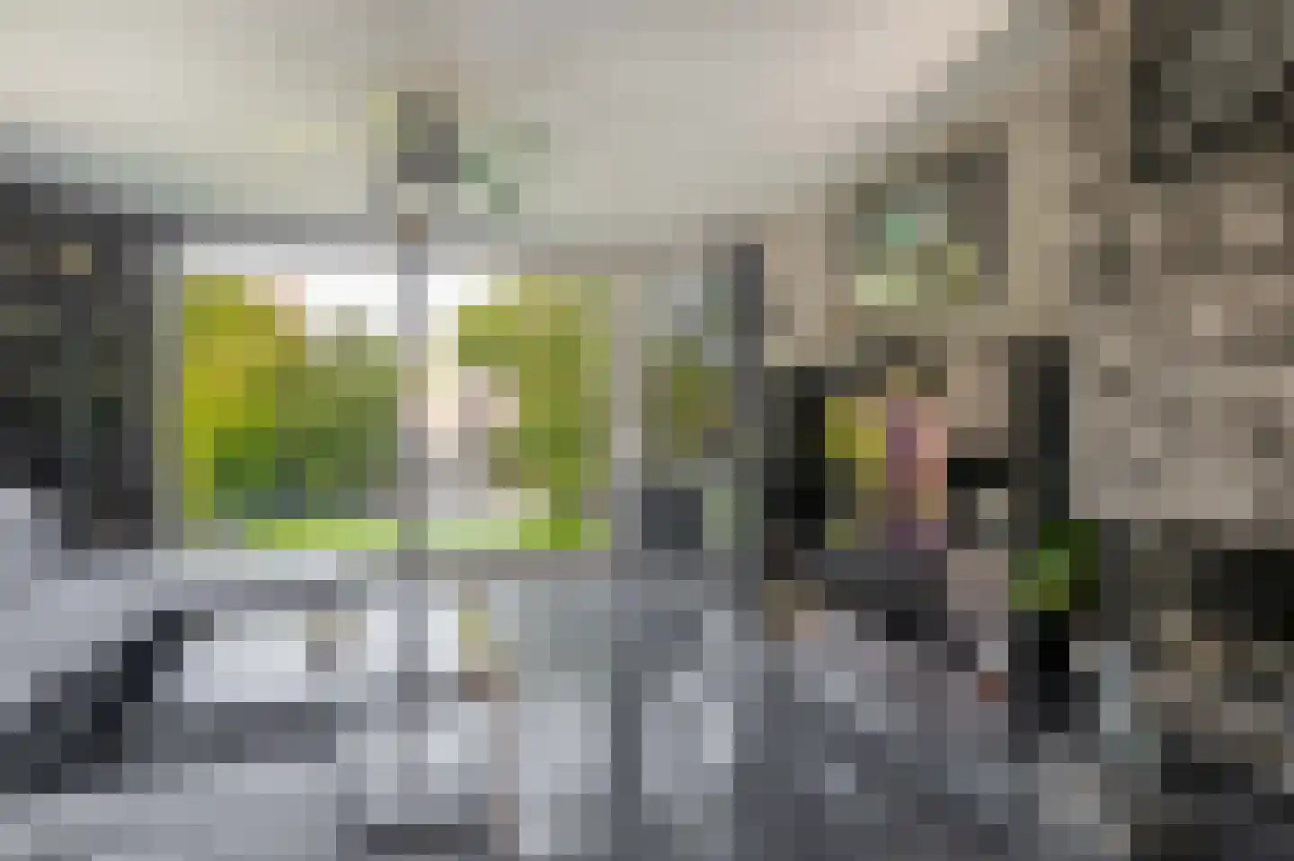 Maria Danneels erf 54 Capelle aan den IJssel thumbnail 8