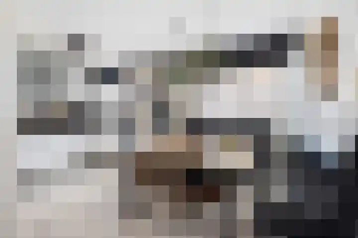 Maria Danneels erf 6 Capelle aan den IJssel thumbnail 16