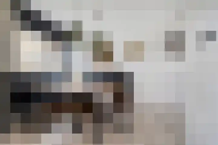 Maria Danneels erf 6 Capelle aan den IJssel thumbnail 18