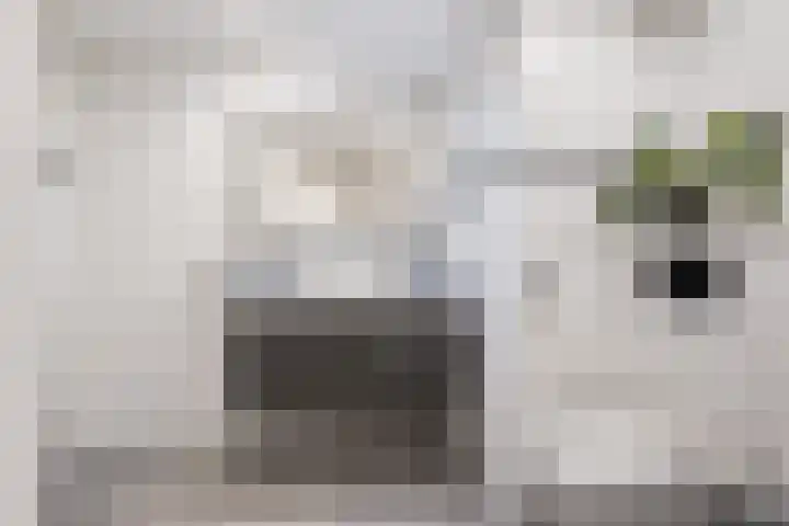 Maria Danneels erf 6 Capelle aan den IJssel thumbnail 30