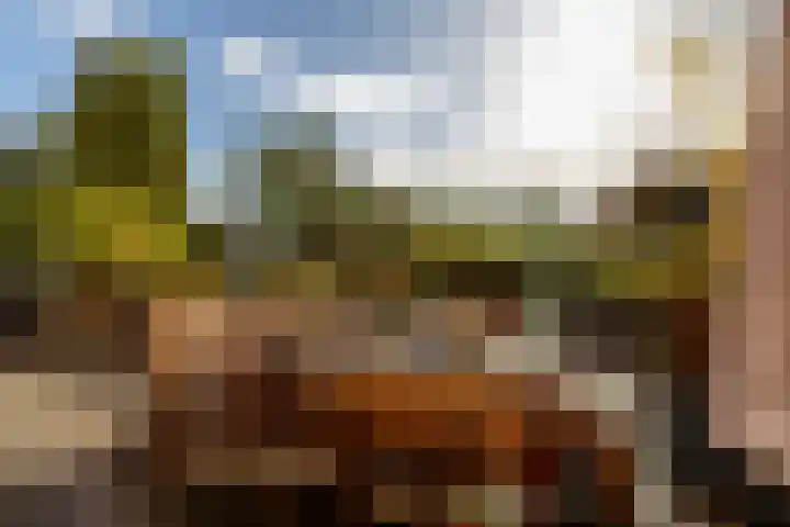 Maria Danneels erf 6 Capelle aan den IJssel thumbnail 32