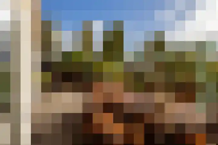 Maria Danneels erf 6 Capelle aan den IJssel thumbnail 33