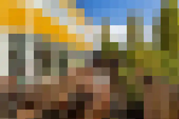 Maria Danneels erf 6 Capelle aan den IJssel thumbnail 34