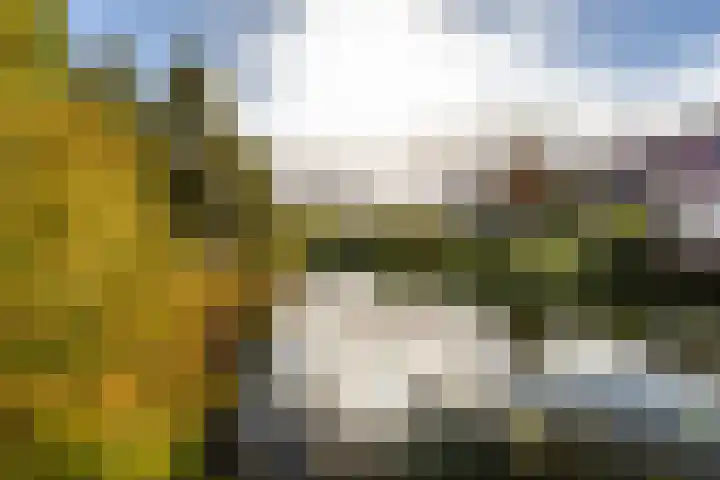 Maria Danneels erf 6 Capelle aan den IJssel thumbnail 38