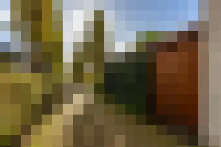 Maria Danneels erf 6 Capelle aan den IJssel thumbnail 39