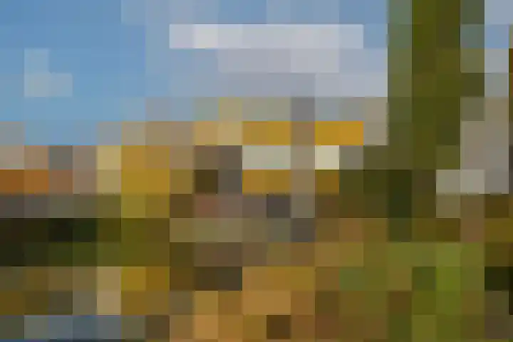Maria Danneels erf 6 Capelle aan den IJssel thumbnail 5