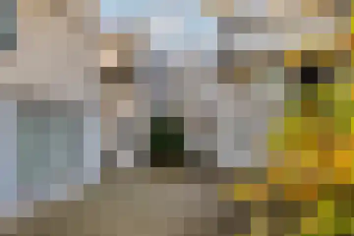 Maria Danneels erf 6 Capelle aan den IJssel thumbnail 7