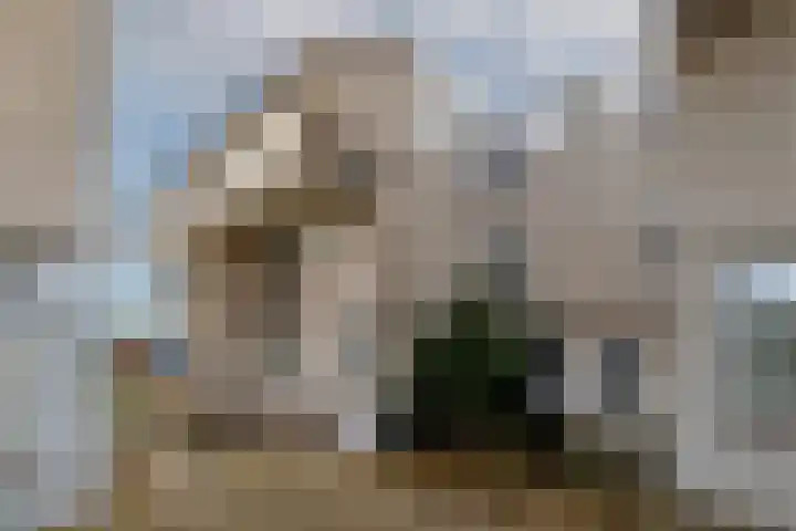 Maria Danneels erf 6 Capelle aan den IJssel thumbnail 8