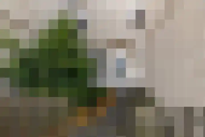 Maria Danneels erf 6 Capelle aan den IJssel thumbnail 9