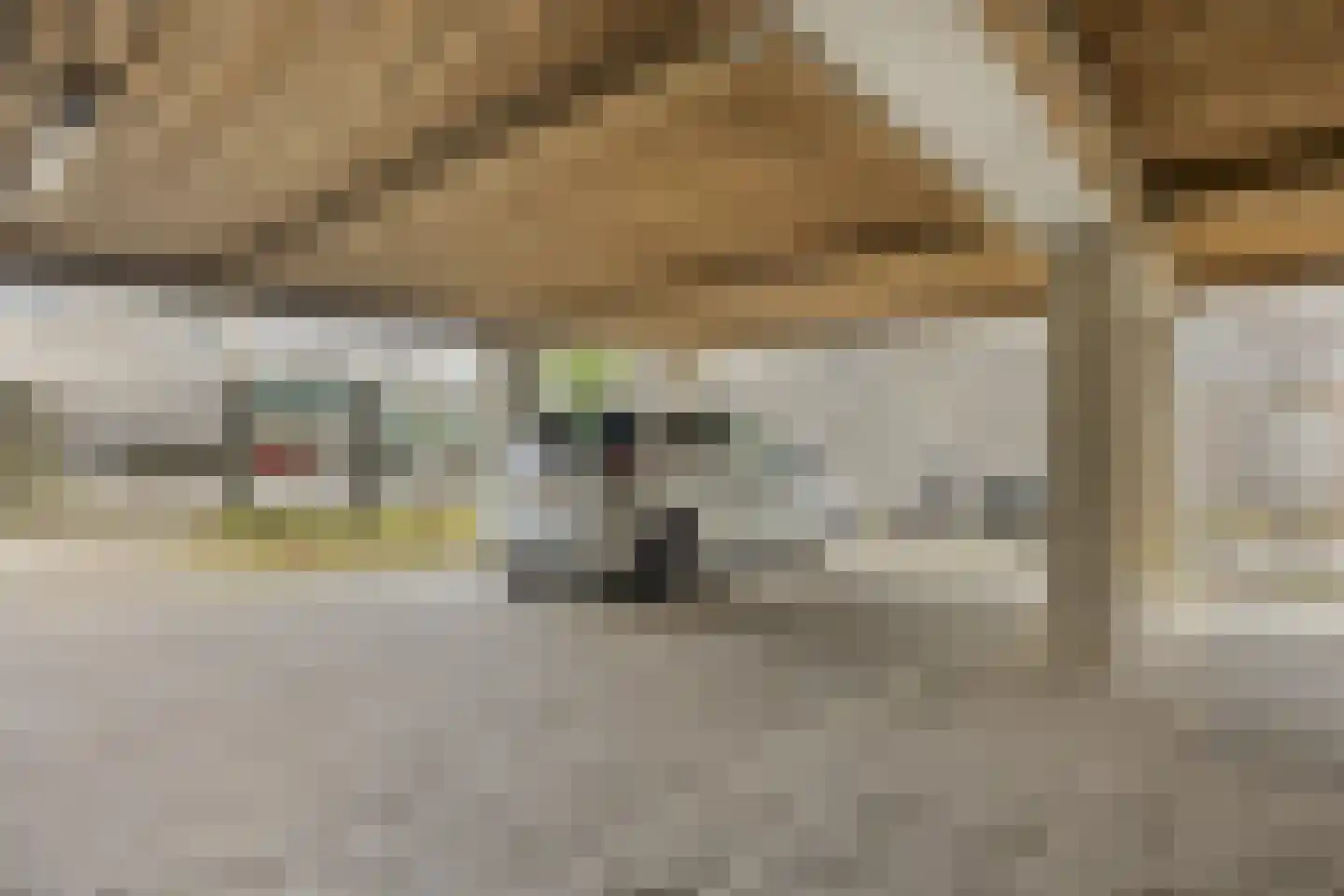 Maria Danneels erf 8 Capelle aan den IJssel thumbnail 5