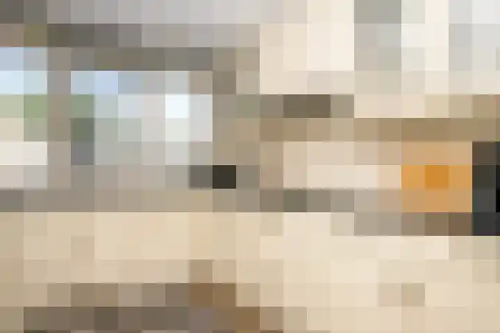 Maria Danneels erf 88 Capelle aan den IJssel thumbnail 11