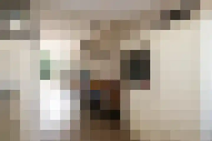 Maria Danneels erf 88 Capelle aan den IJssel thumbnail 12