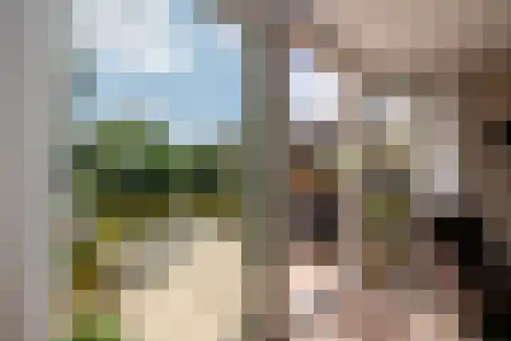 Maria Danneels erf 88 Capelle aan den IJssel thumbnail 14