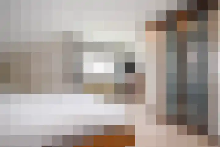 Maria Danneels erf 88 Capelle aan den IJssel thumbnail 19