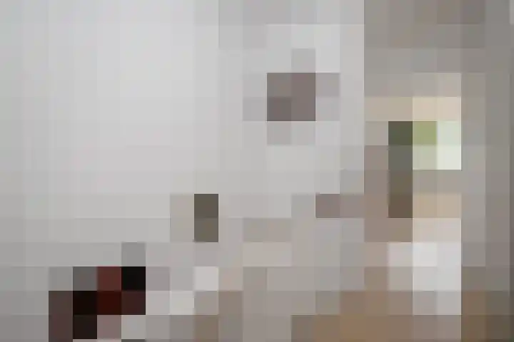 Maria Danneels erf 88 Capelle aan den IJssel thumbnail 20