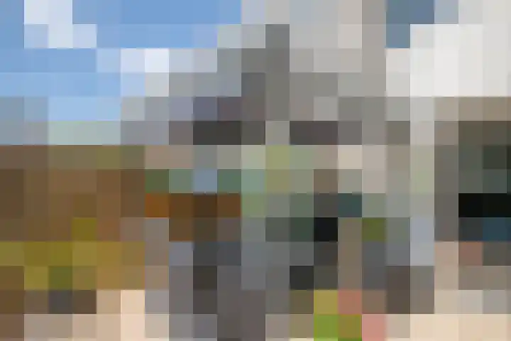 Maria Danneels erf 88 Capelle aan den IJssel thumbnail 28