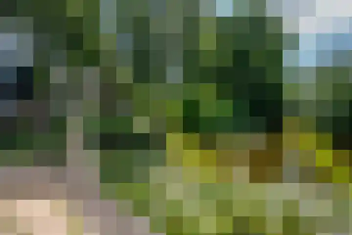 Maria Danneels erf 88 Capelle aan den IJssel thumbnail 30