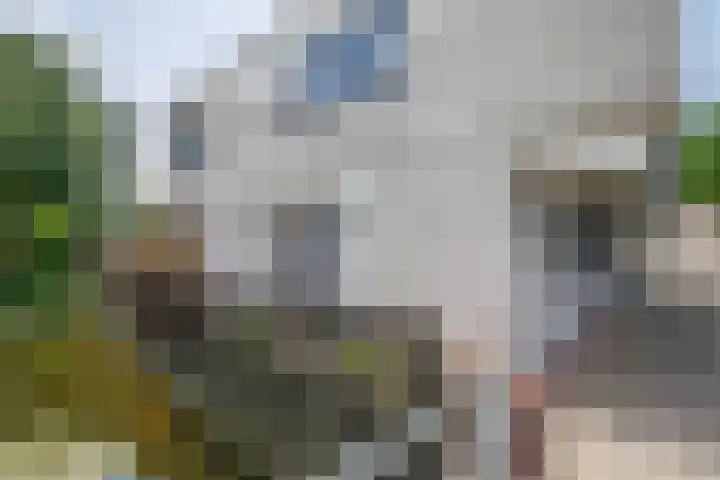 Maria Danneels erf 88 Capelle aan den IJssel thumbnail 35