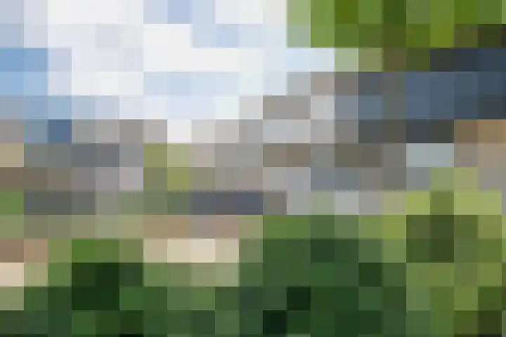Maria Danneels erf 88 Capelle aan den IJssel thumbnail 43