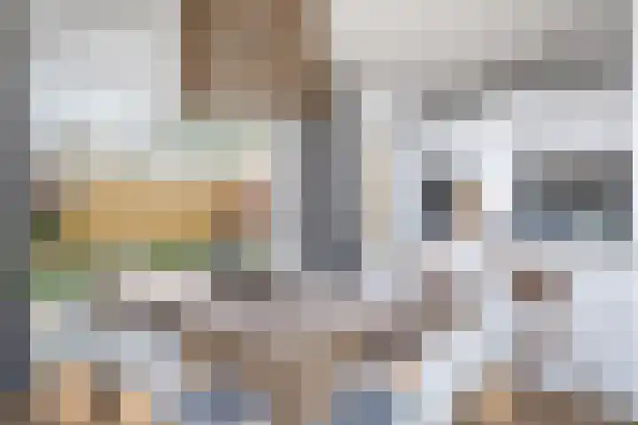 Maria de Vriesstraat 36 Gemert thumbnail 4
