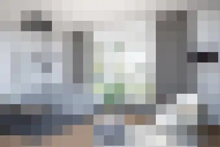 Maria de Vriesstraat 36 Gemert thumbnail 5