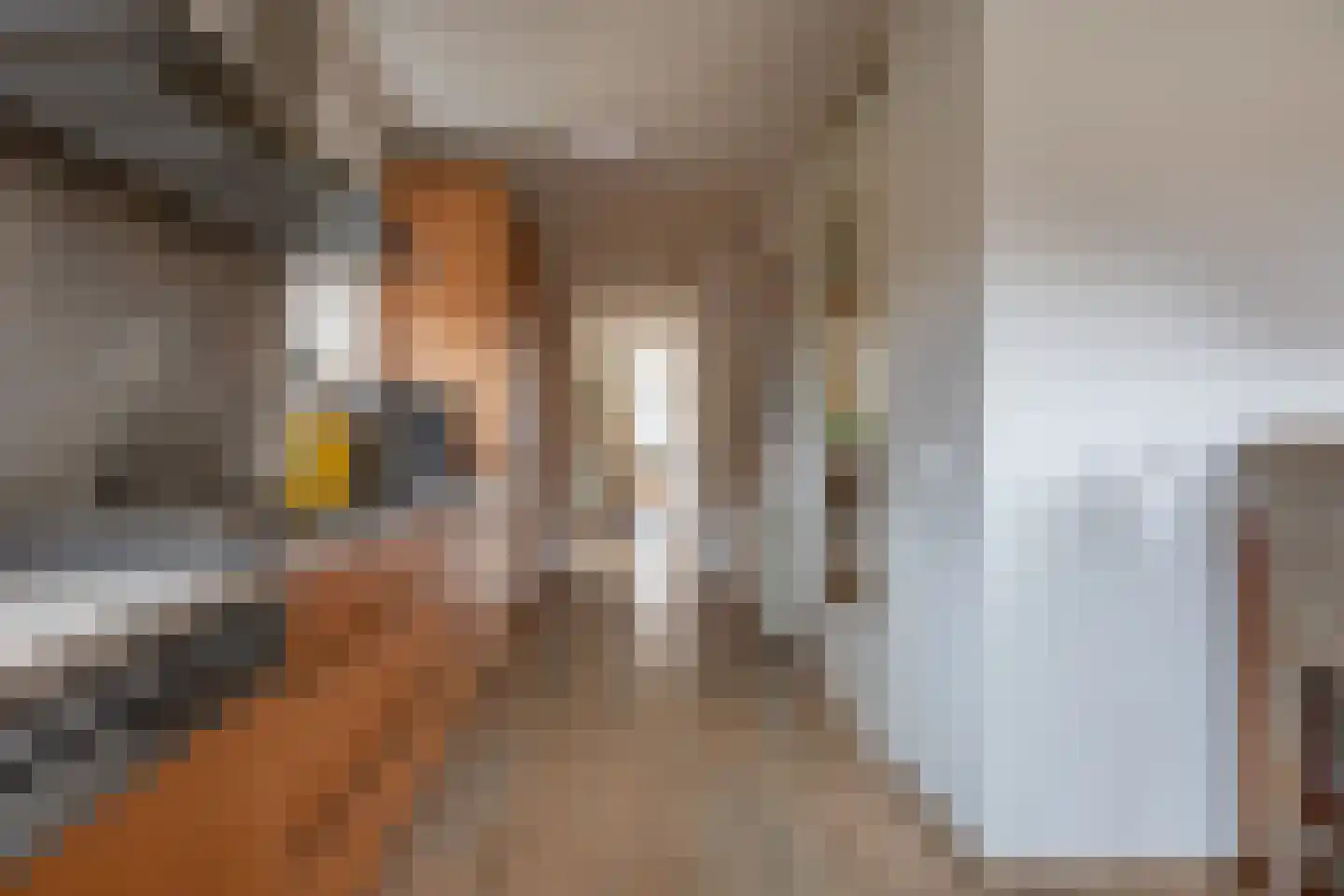 Maria Dermoûtlaan 1 Amstelveen thumbnail 11