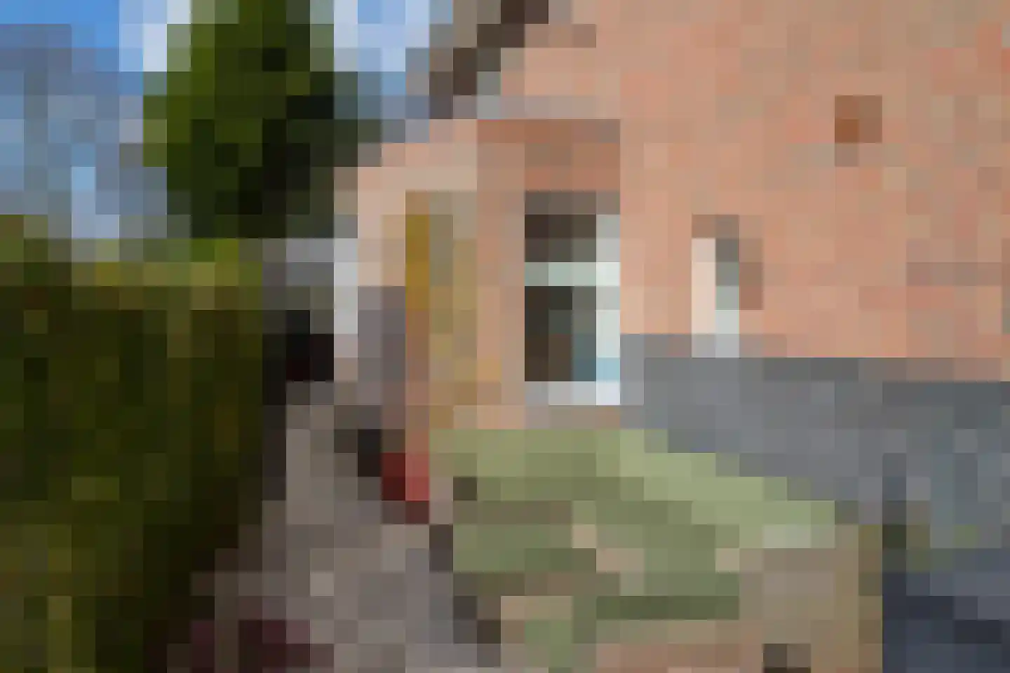 Maria Dermoûtlaan 1 Amstelveen thumbnail 28