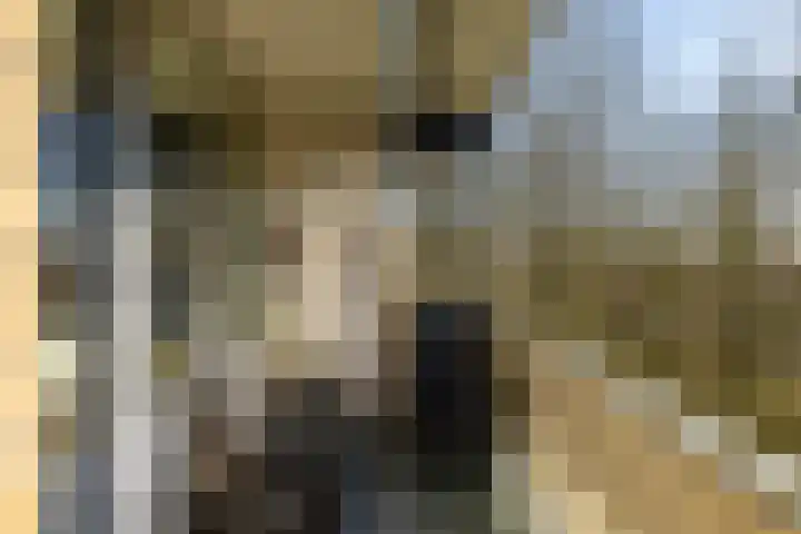 Maria Dermoutlaan 18 Groningen thumbnail 25