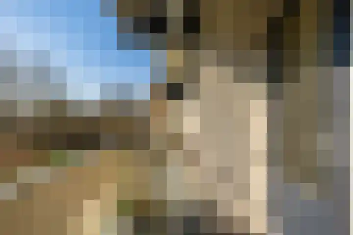 Maria Dermoutlaan 18 Groningen thumbnail 26