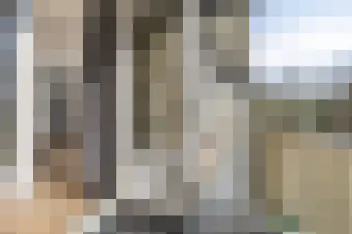 Maria Dermoutlaan 22 Groningen thumbnail 19