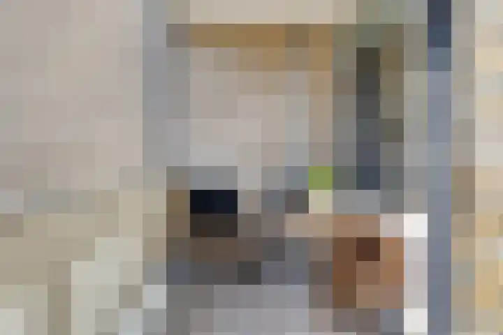 Maria Dermoutlaan 22 Groningen thumbnail 21