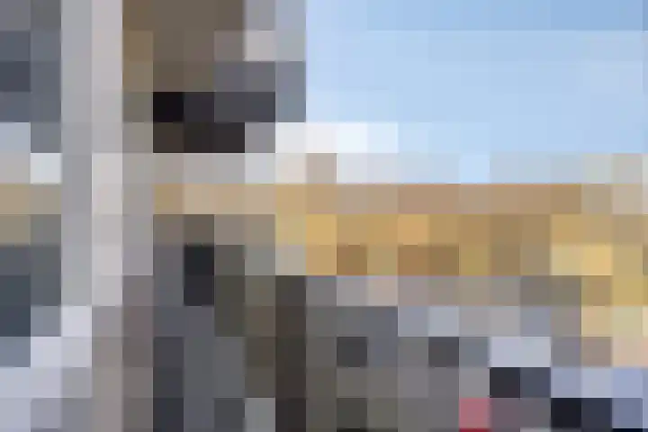 Maria Dermoutlaan 22 Groningen thumbnail 26