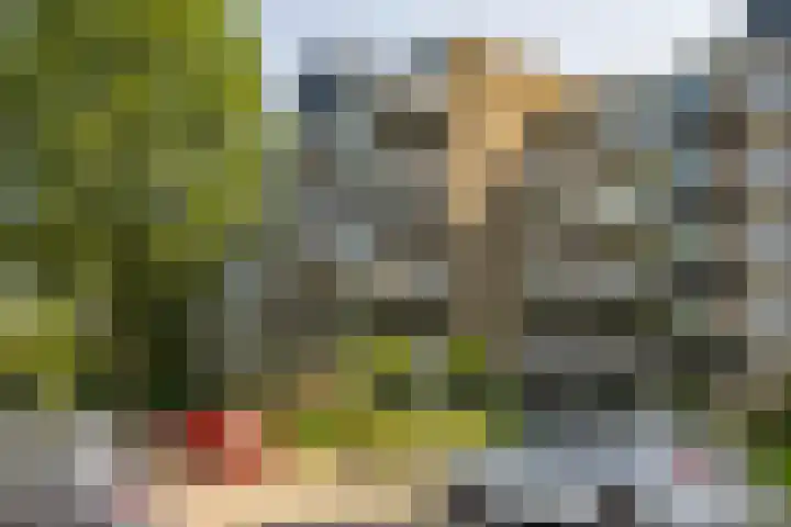 Maria Dermoutlaan 28 Groningen thumbnail 7