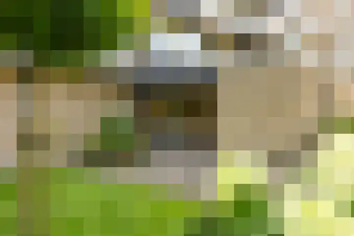 Maria Dermoutlaan 28 Groningen thumbnail 8