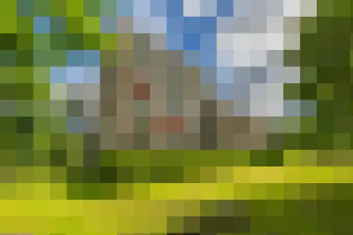 Maria Dermoutlaan 82 Groningen thumbnail 20